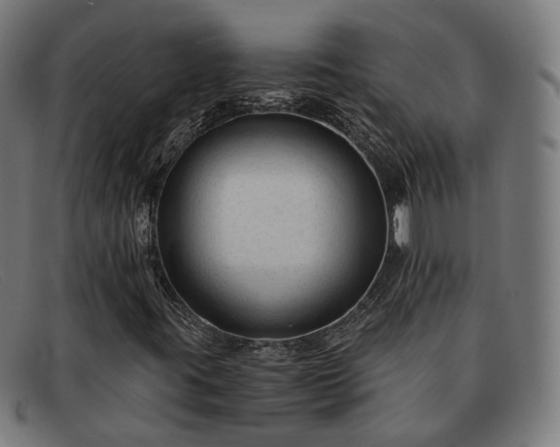 X0000091901395200709121450