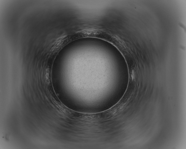 X0000091901396200709121450