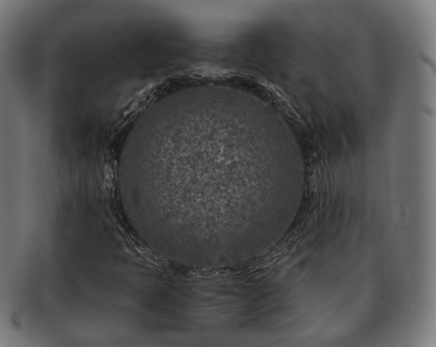 X0000091901397200709121450