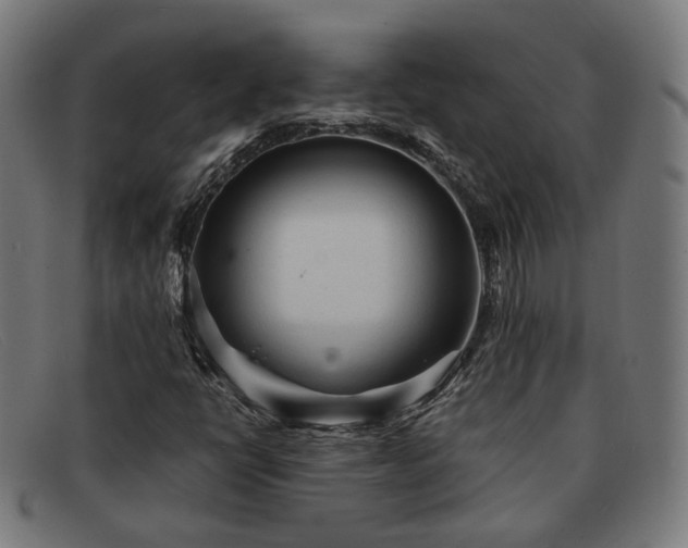 X0000091901398200709121450