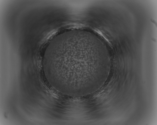 X0000091901399200709121450