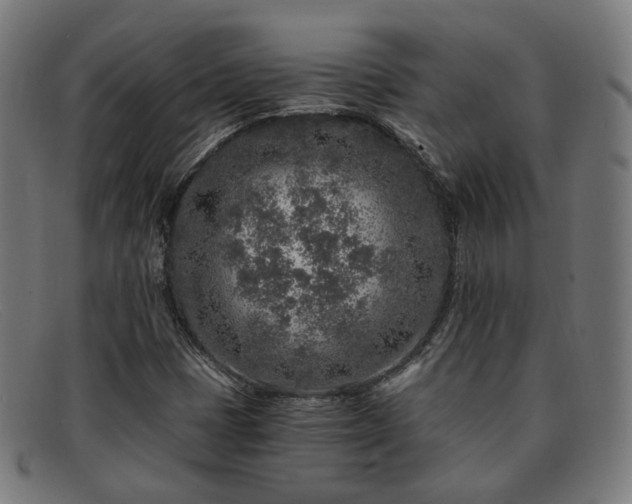 X0000091901401200709121450