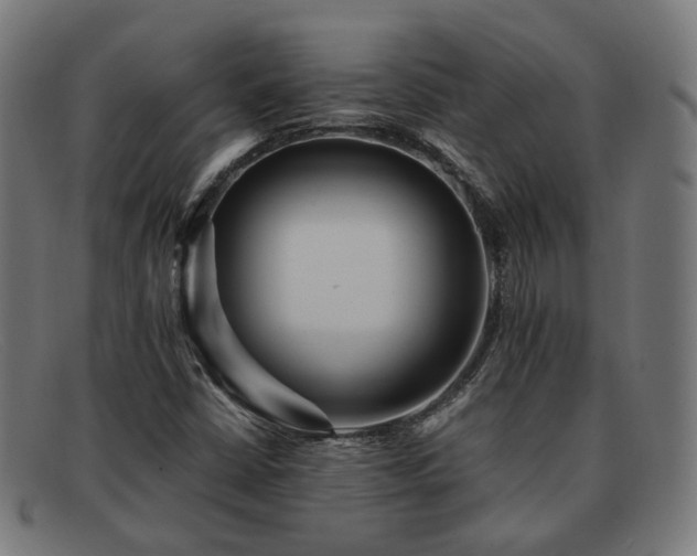 X0000091901402200709121450