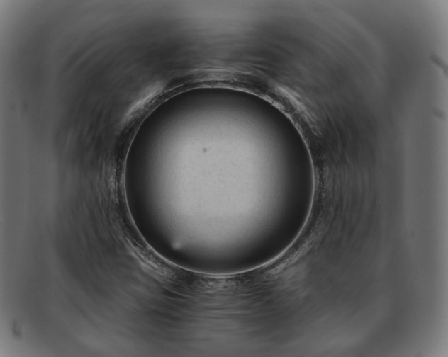 X0000091901403200709121450