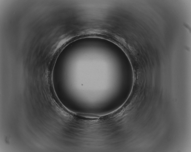 X0000091901404200709121450