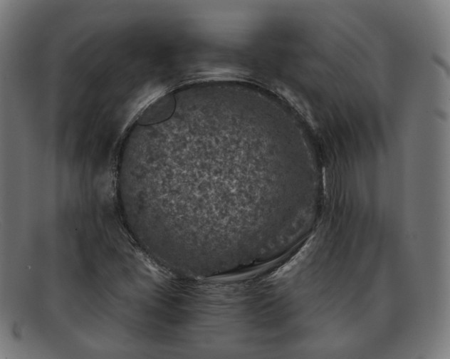 X0000091901405200709121450