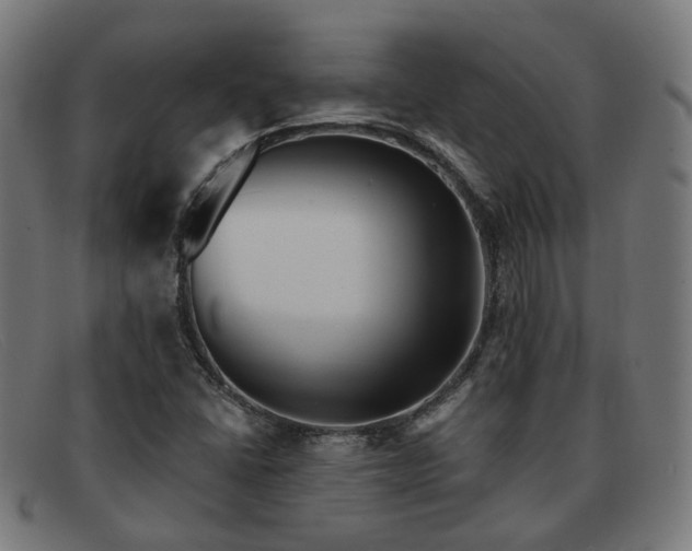 X0000091901406200709121450