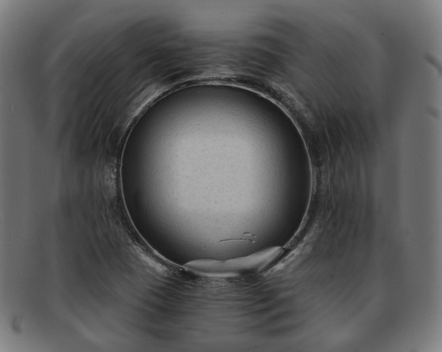 X0000091901409200709121450