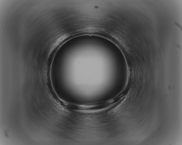 X0000091901410200709121450