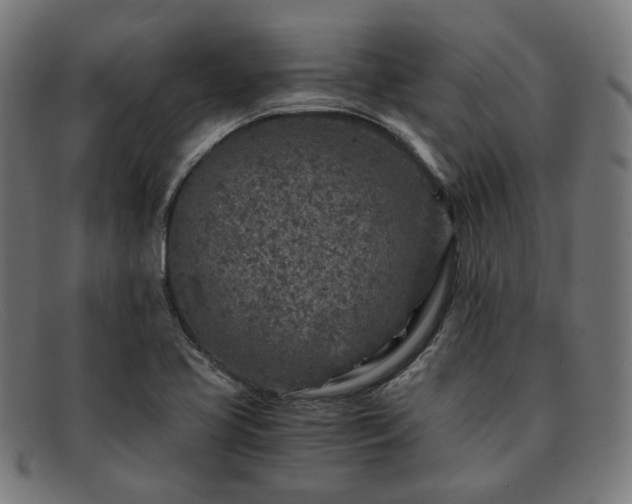 X0000091901413200709121450