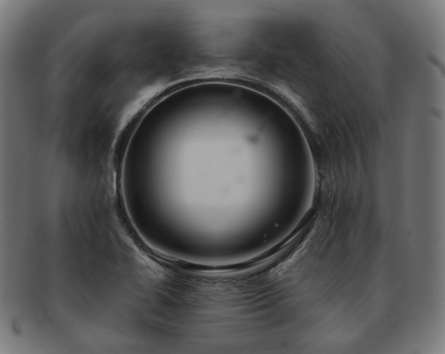 X0000091901414200709121450