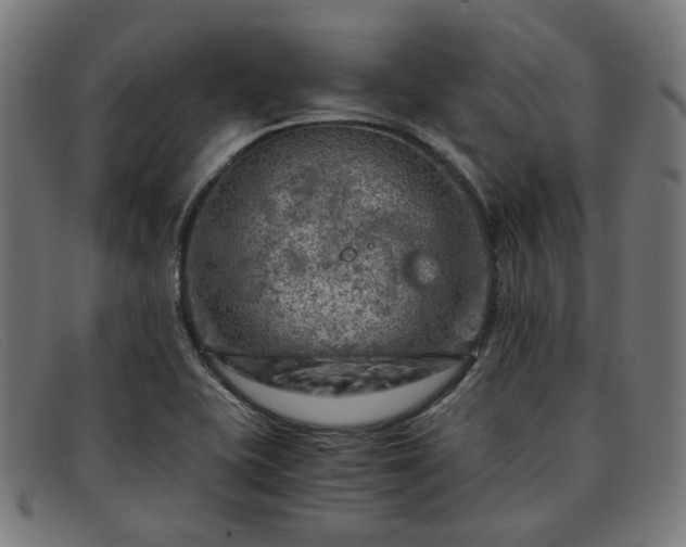 X0000091901415200709121450