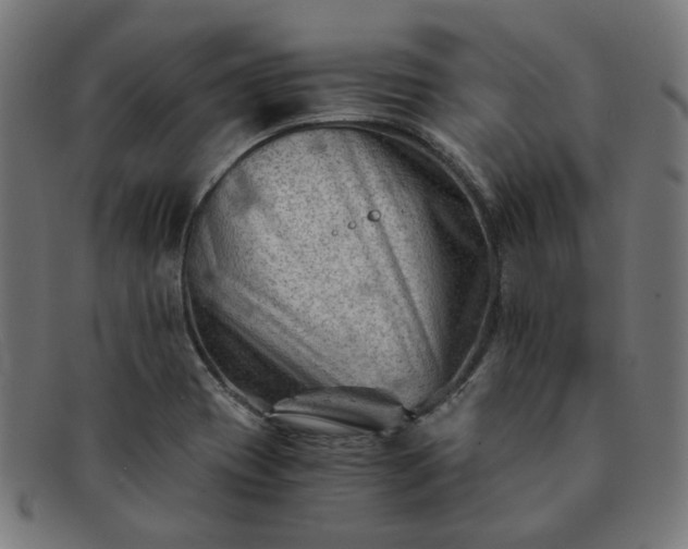 X0000091901417200709121450