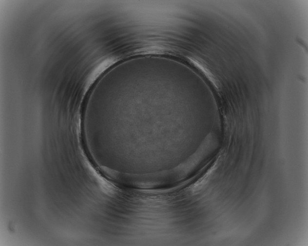 X0000091901418200709121450