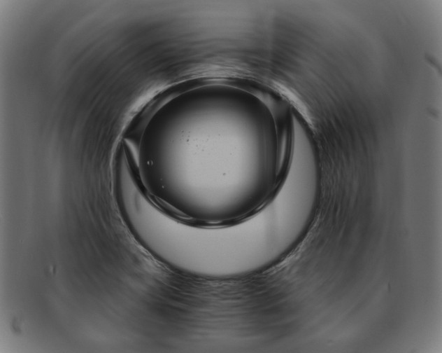 X0000091901419200709121450