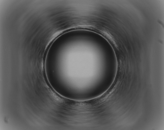 X0000091901420200709121450