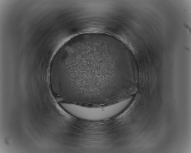 X0000091901421200709121450