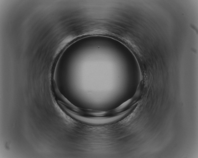 X0000091901422200709121450