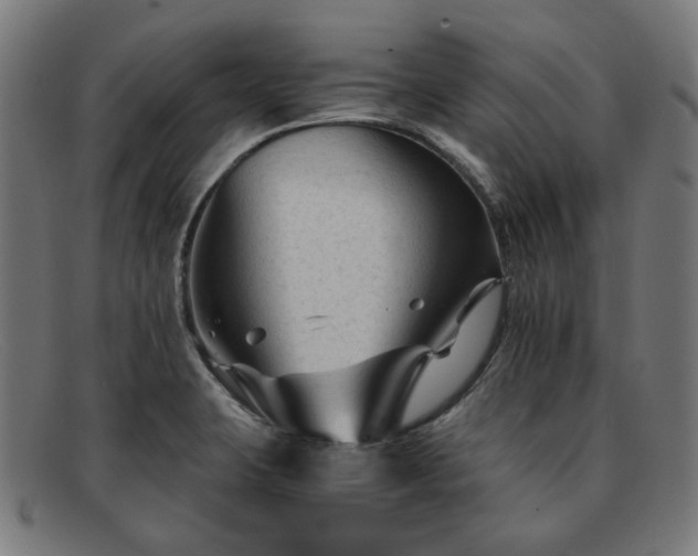 X0000091901423200709121450