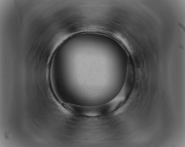 X0000091901424200709121450