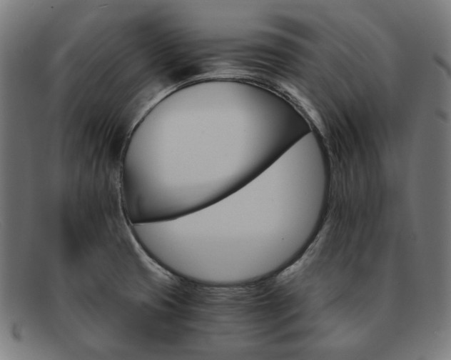 X0000091901425200709121450