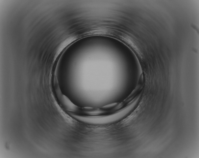 X0000091901426200709121450