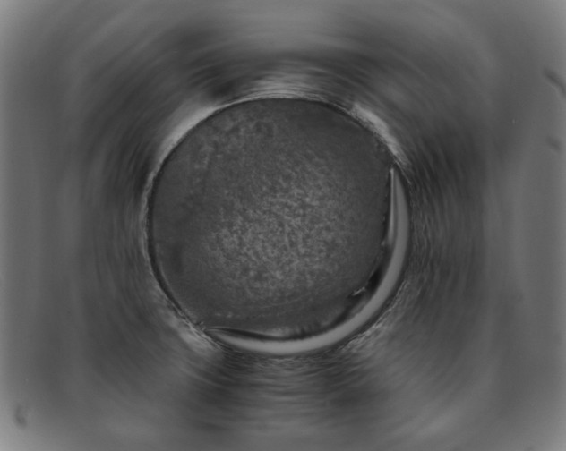 X0000091901427200709121450