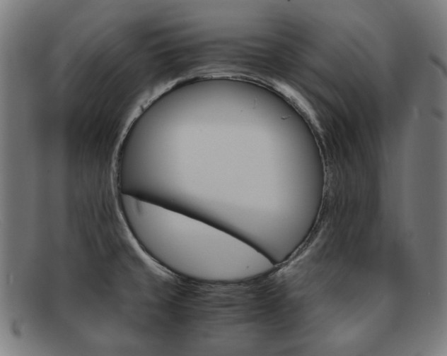 X0000091901429200709121450