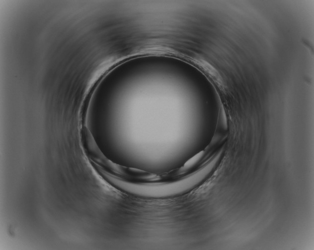 X0000091901430200709121450