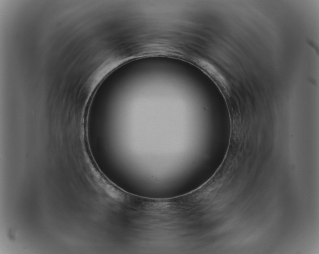 X0000091901431200709121450