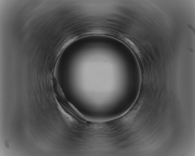 X0000091901433200709121450