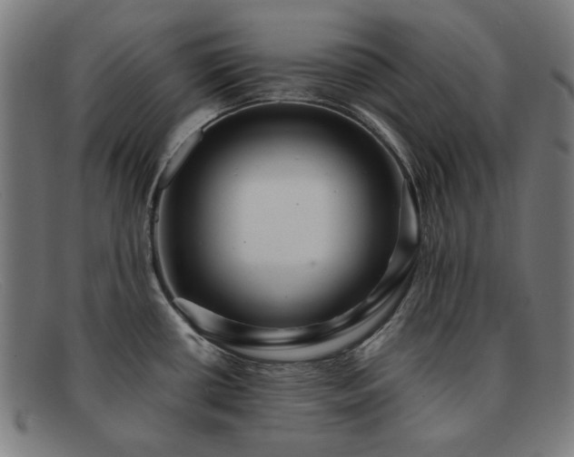 X0000091901434200709121450