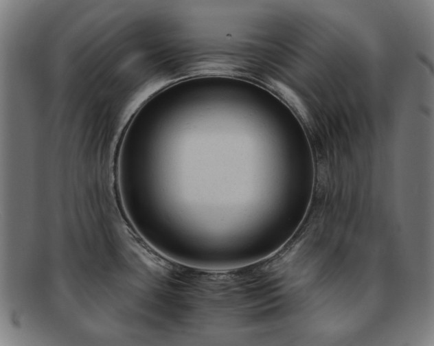 X0000091901435200709121450