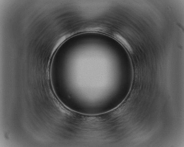 X0000091901436200709121450