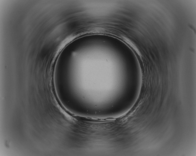 X0000091901437200709121450