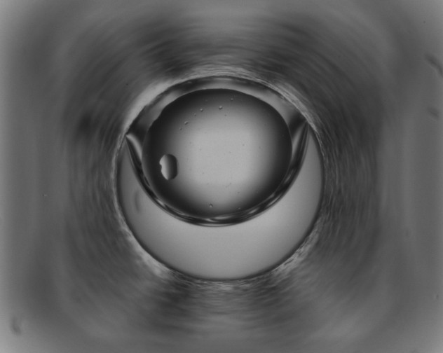 X0000091901438200709121450