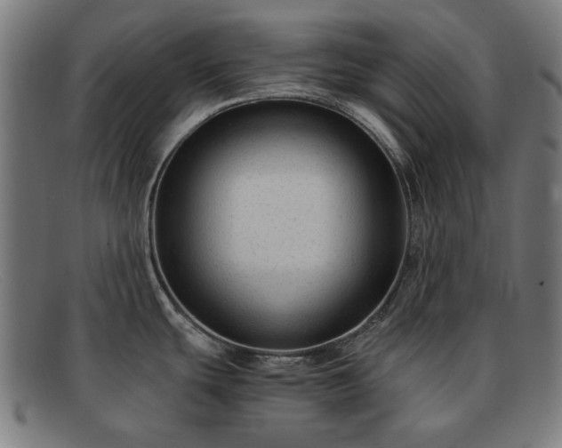 X0000091901439200709121450