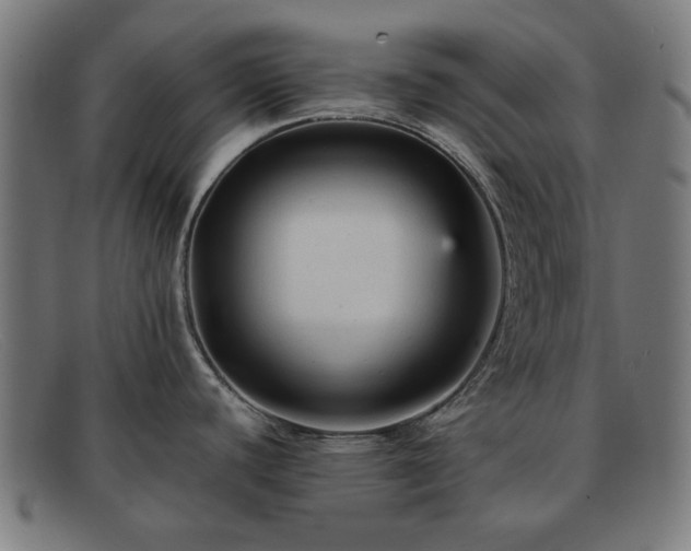 X0000091901440200709121450