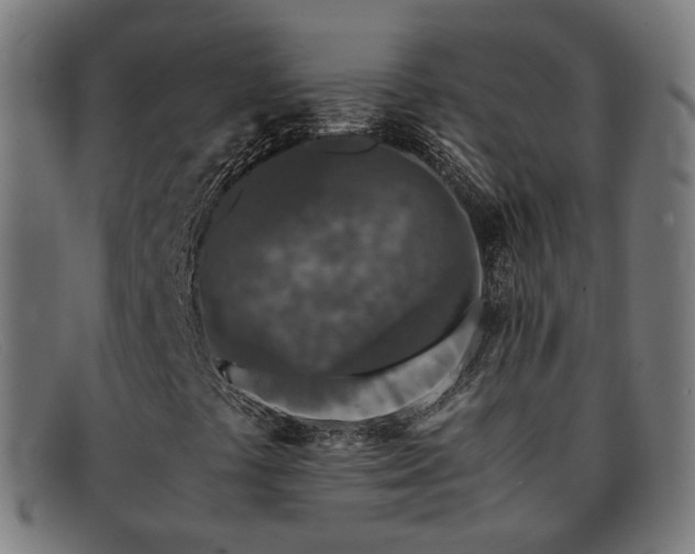 X0000091901441200709121450