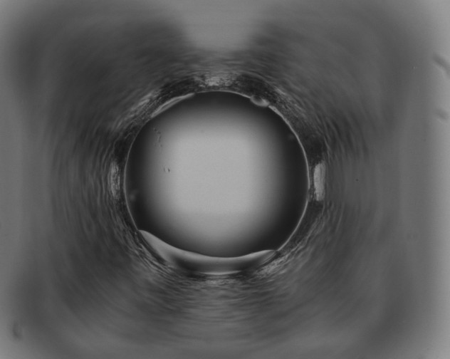 X0000091901443200709121450