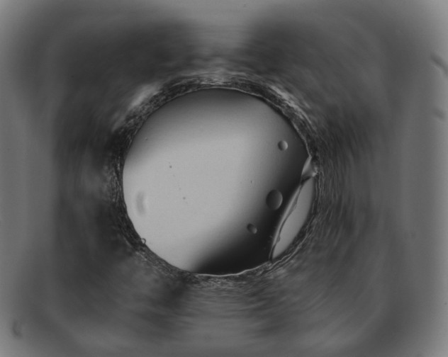 X0000091901446200709121450