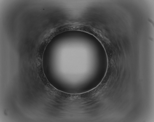 X0000091901447200709121450