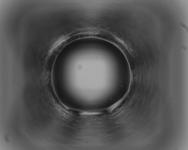 X0000091901448200709121450