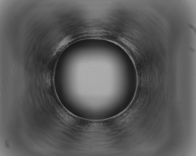 X0000091901451200709121450