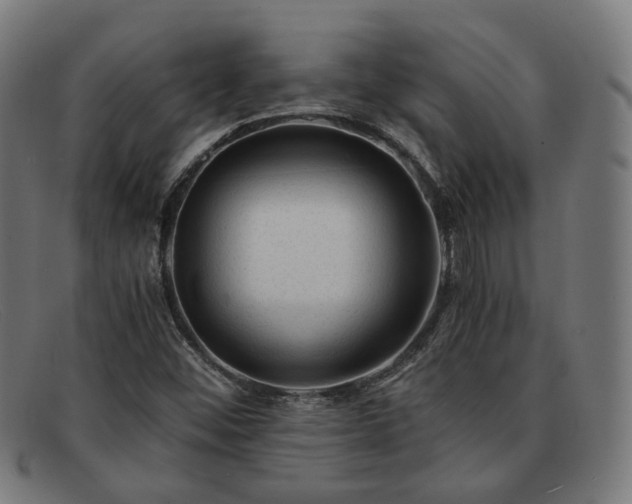 X0000091901452200709121450