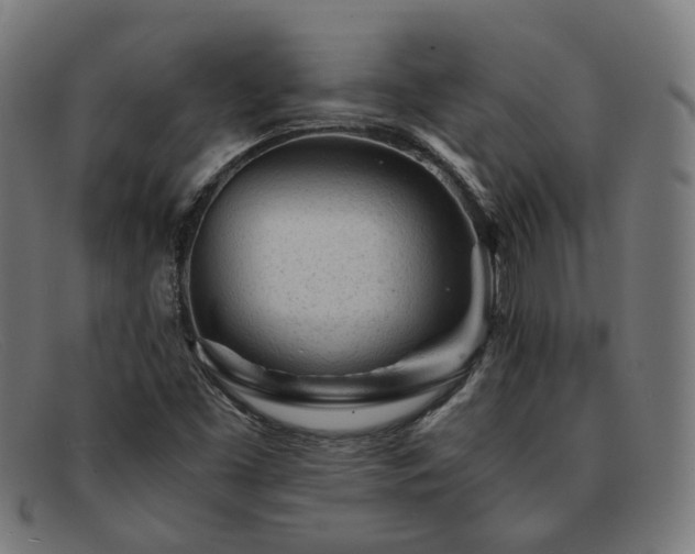 X0000091901453200709121450