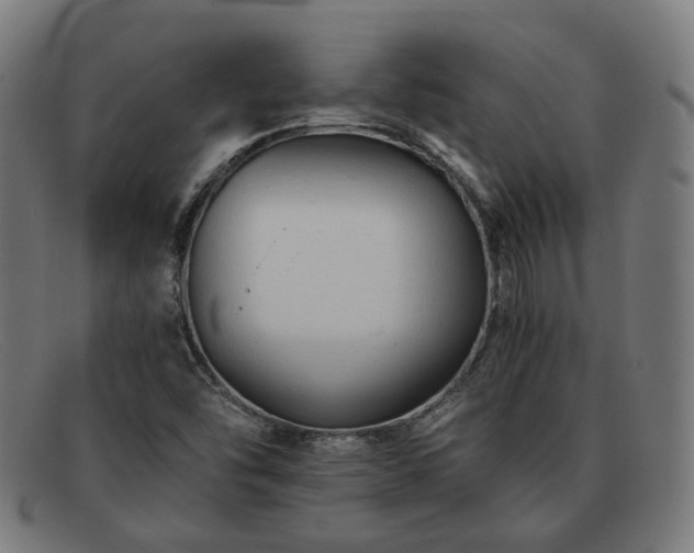 X0000091901454200709121450