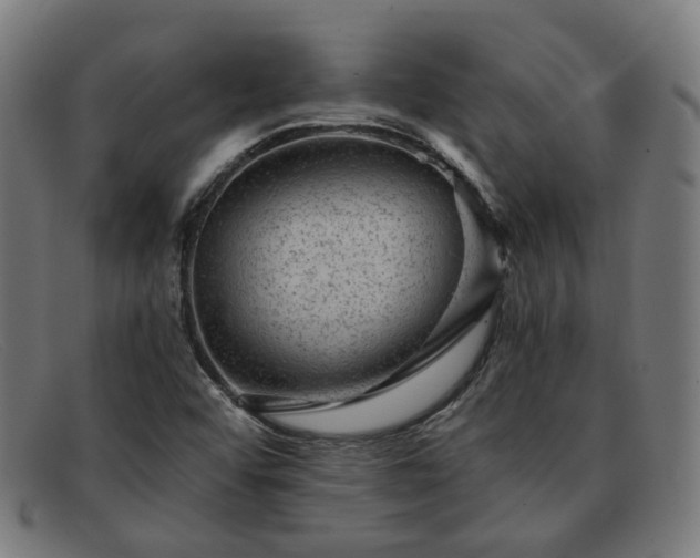 X0000091901456200709121450