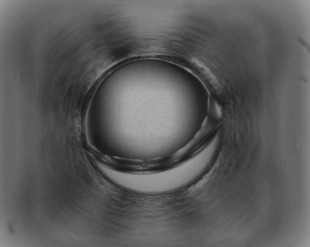 X0000091901457200709121450