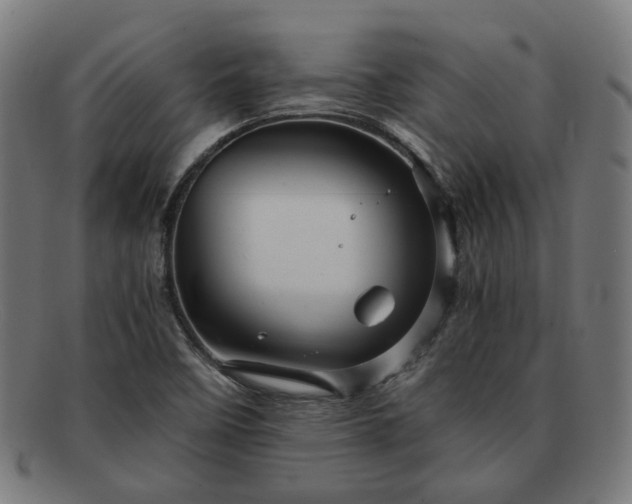 X0000091901458200709121450